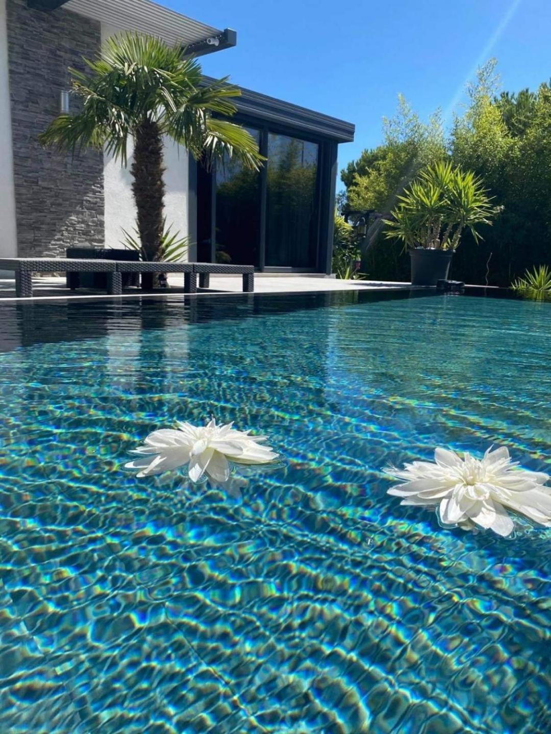 Mon Petit Bali Bed & Breakfast Maussane-les-Alpilles Exterior photo